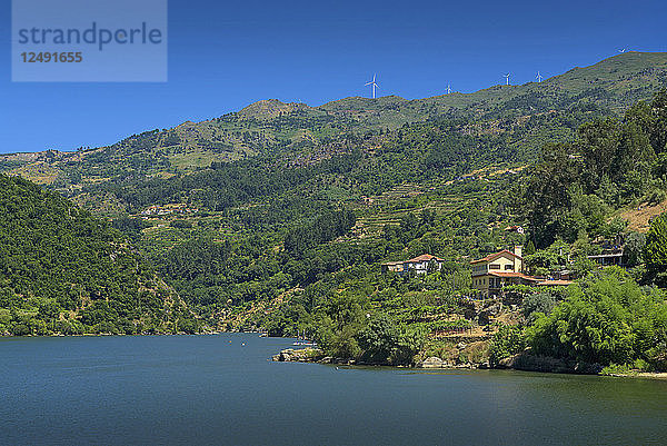 Portwein-Weinberge in der Region des Flusses Douro in Portugal