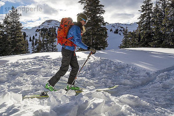 Eine Frau beim Skilanglauf am Red Mountain Pass  Silverton  Colorado.