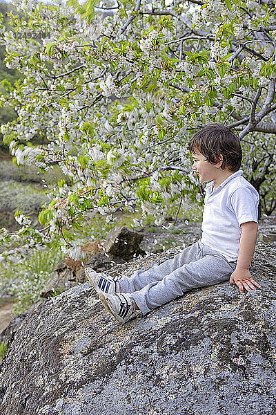 Junger Junge sitzt auf einem Felsen im Valle Del Jerte  Extremadura  Spanien