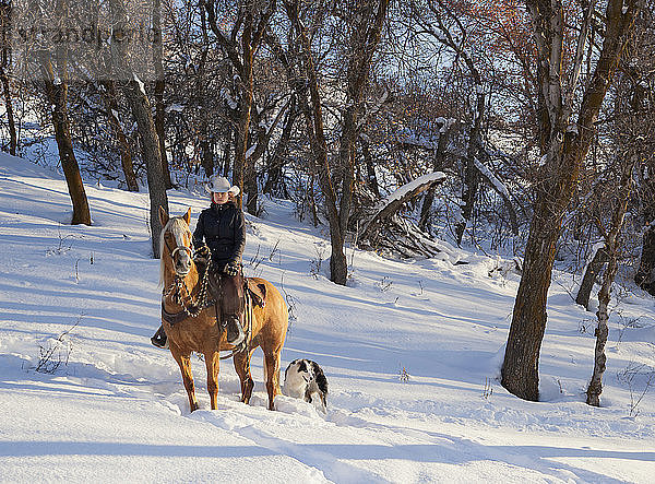 Junge Frau sitzt auf einem Pferd in einem verschneiten Wald mit ihrem Hund an ihrer Seite.