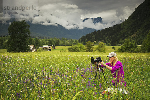 Die Touristin Honora Bauman fotografiert ein Wildblumenfeld im Frühling in der Nähe von Bohinjska Bistrica  in den Julischen Alpen  Slowenien