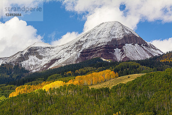 Herbstschnee und gelbe Espen auf dem Engineer Mountain  San Juan National Forest  Durango  Colorado.