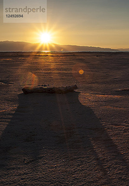 Ein Baumstamm wirft kurz vor Sonnenuntergang einen langen Schatten auf den Großen Salzsee.