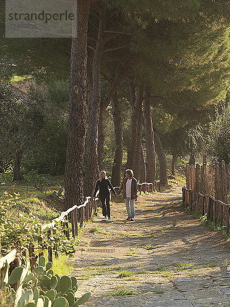 Älteres Paar geht unter mediterranen Pinien einen Weg entlang
