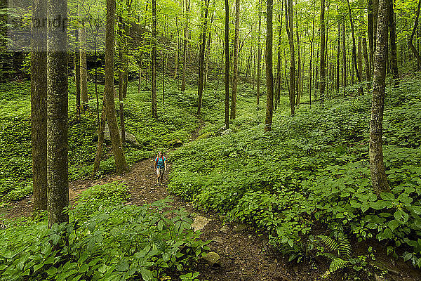 Eine Frau wandert durch einen dunklen Wald entlang des Weges durch das Virgin Falls State Natural Area  Sparta  Tennessee.