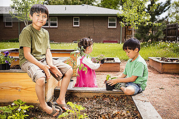Ein 6-jähriger japanisch-amerikanischer Junge hilft seiner 1-jährigen kleinen Schwester und seinem 4-jährigen Bruder  einen Garten in Pflanzkästen anzulegen.