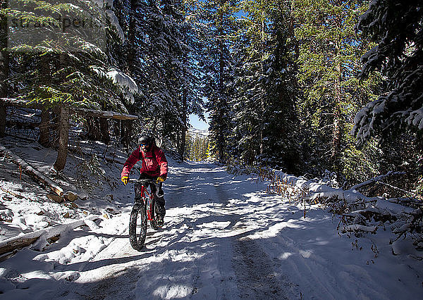 Ein Mann mit roter Jacke fährt mit seinem Fahrrad mit dicken Reifen durch einen Sonnenfleck auf einer verschneiten Forststraße in den Wäldern.