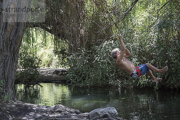 Älterer Mann schwingt sich an einem Seil vom Baum in eine Süßwasserlagune