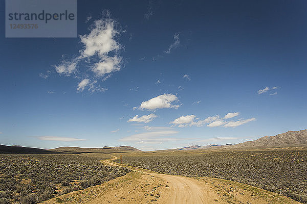 Eine unbefestigte Straße schlängelt sich durch eine weite Salbeilandschaft in der Hochwüste mit blauem Himmel darüber.