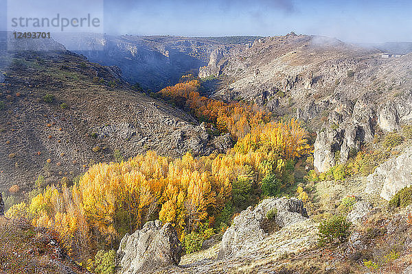 Der Canyon des Dulce River Naturparks im Herbst