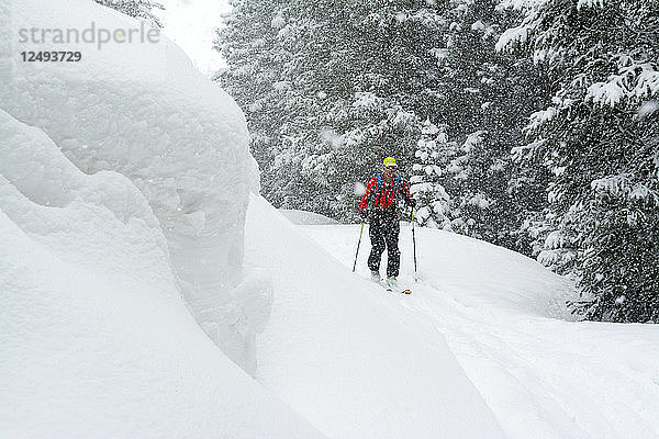 Ein Mann fährt an einem verschneiten Tag oberhalb des Red Mountain Passes im Uncompahgre National Forest in Silverton  Colorado  Skilanglauf.