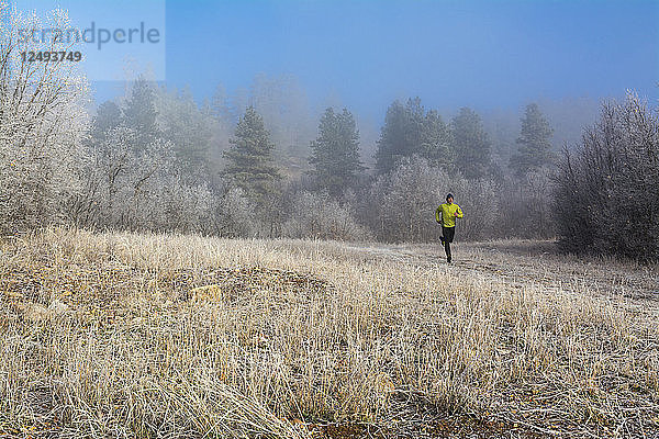 Ein Mann beim Trailrunning an einem nebligen  kalten Morgen auf dem Log Chutes Trail außerhalb von Durango  Colorado.