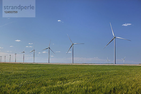Windturbinen auf dem grasbewachsenen Land in Arizona  USA