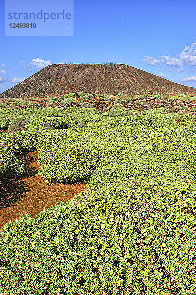 Vulkanische Landschaft der Isla De Los Lobos  Fuerteventura  Kanarische Inseln  Spanien