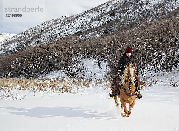 Eine junge Frau galoppiert auf einem Pferd über ein verschneites Feld.