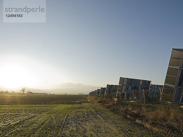 Blick auf die Solarmodulreihen und die grüne Wiese zum Sonnenuntergang