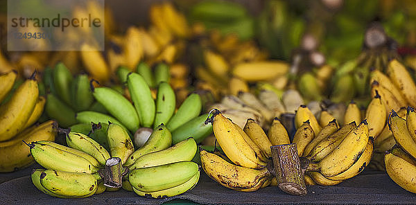 Nahaufnahme einer Banane zum Verkauf auf dem Straßenmarkt in Hoi An