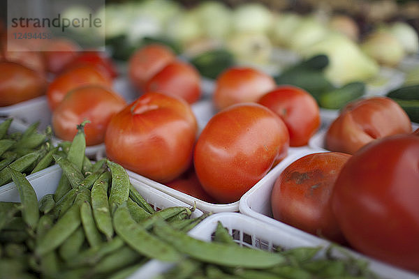 Bohnen und Tomaten  die auf einem örtlichen Bauernmarkt zum Verkauf angeboten werden.