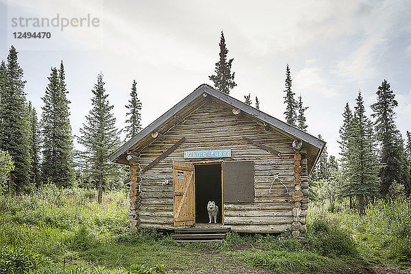 Viking Lodge Hütte zur öffentlichen Nutzung Wrangell-St. Elias National Park and Preserve