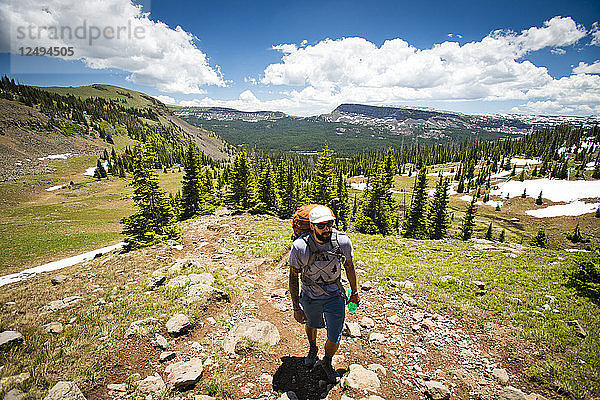 Ein Rucksacktourist wandert an einem sonnigen Tag durch die Flat Tops Wilderness in Yampa  Colorado.