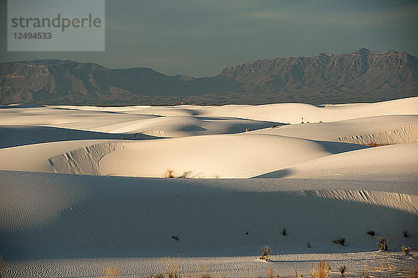 Früher Morgen im White Sand Dunes National Park in New Mexico.