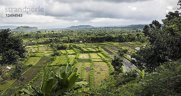 Reisfelder von Amed in der Regentschaft Karangasem auf Bali  Indonesien