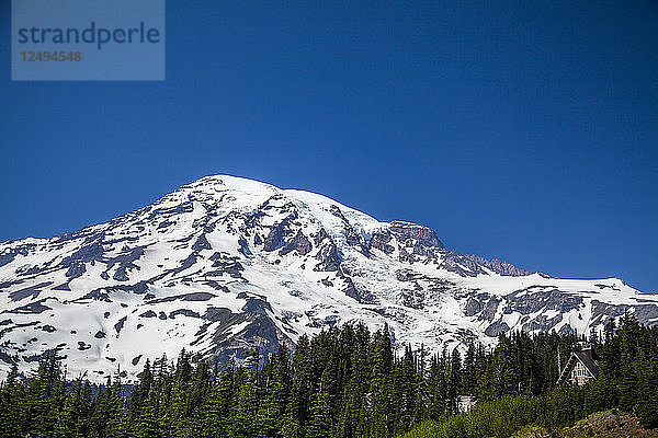 Ein Blick auf den Mount Rainier National Park  Washington  USA  an einem sonnigen Tag.