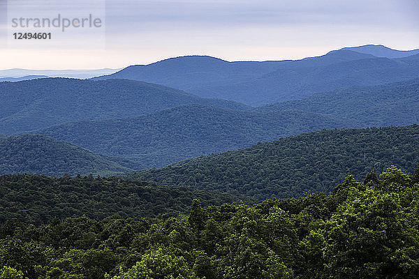 Blick über die Blue Ridge Mountains von einem Aussichtspunkt bei der Fahrt durch den Shenandoah National Park in Virginia.