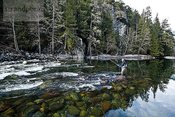 Ein Fliegenfischer geht durch einen Fluss in Squamish  British Columbia.