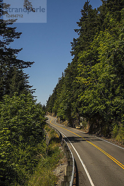 Der berühmte Chuckanut Drive in der Nähe von Bellingham  Washington  ist ein Anziehungspunkt für Radfahrer und Autofahrer  die die ursprüngliche landschaftlich reizvolle Strecke in Washington genießen  die sich entlang der Küste und durch dichte Wälder mit tiefgrünen Baumkronen schlängelt.