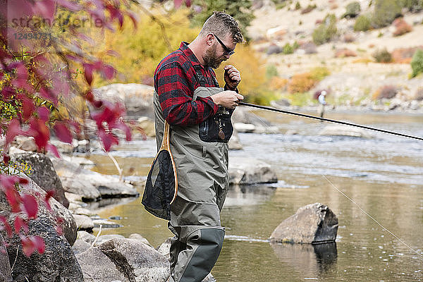 Ein Fliegenfischer beim Vorbereiten seiner Ausrüstung an einem Herbsttag in Breckenridge  Colorado