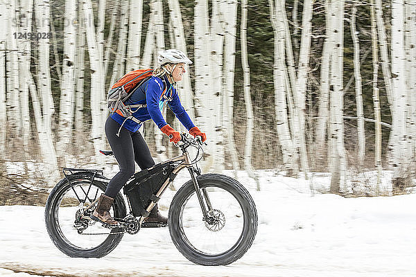 Eine Frau fährt mit einem Fahrrad mit großen Reifen vor Espenbäumen im La Plata Canyon  Mayday  Colorado.