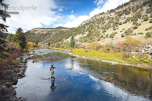 Ein Fliegenfischer auf dem Eagle River  umgeben von Herbstfarben in Breckenridge  Colorado
