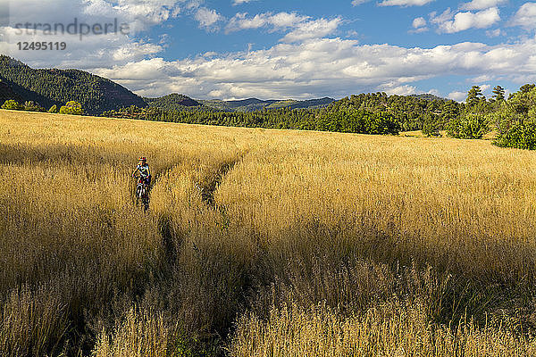 Junges Mädchen fährt mit dem Mountainbike durch eine Wiese in Falls Creek