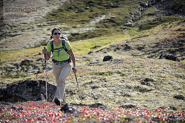 Eine Wanderin wandert im August 2011 im Snowhawk Valley unterhalb der Flanken des Tikishla Peak (5230 m) in den Chugach Mountains nördlich von Anchorage  Alaska. Obwohl sich im Snowhawk Valley 5 von 12 Gipfeln über 5000 Fuß in der Chugach Front Range befinden  ist es aufgrund des schwierigen Zugangs nur wenig besucht. In der Sprache der Dena'iai bedeutet Tikishla Schwarzbär.