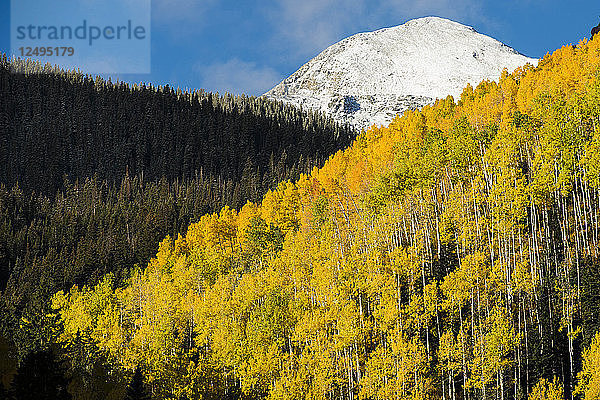Herbstfarben in Aspen Colorado mit frischem Schneegestöber