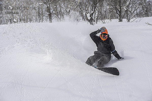Snowboarder bei einem Turn im Pulverschnee in Niseko  Japan