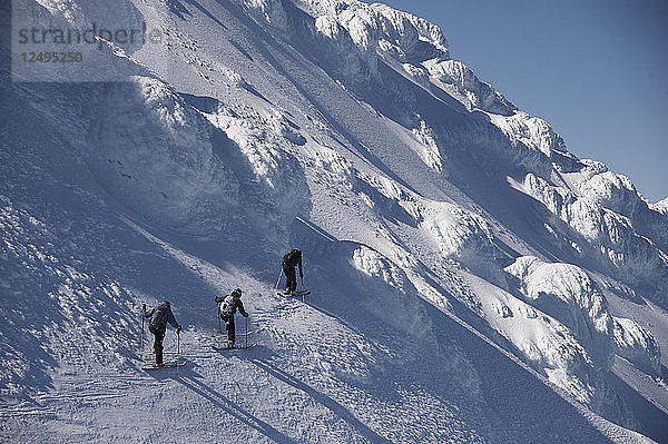 Skifahrer Skifahren im verschneiten Gebiet des Mount Augustine  Alaska  USA