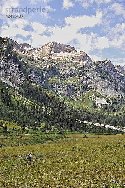 Frau wandert zu den Ansichten der Glacier Peak Wilderness von Spider Gap auf dem Phelps Creek Trail  14 2-Meilen-out-and-back  außerhalb von Leavenworth  Washington September 2011. Der Phelps Creek führt zum Fuße des Spider Glacier  wo man sein Lager aufschlägt und zum 7.100 Fuß hohen Spider Gap wandert. Vom Camp aus hat man einen Blick auf die Spider Meadow und den Seven Fingered Jack in der Ferne.