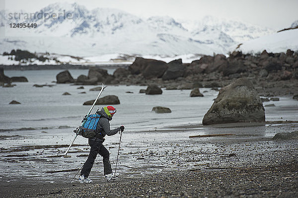 Skifahrerin beim Wandern an der Küste von Augustine Island  Alaska  USA