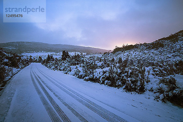 Schneebedeckte Straße im Lake Saint Clair National Park  Tasmanien