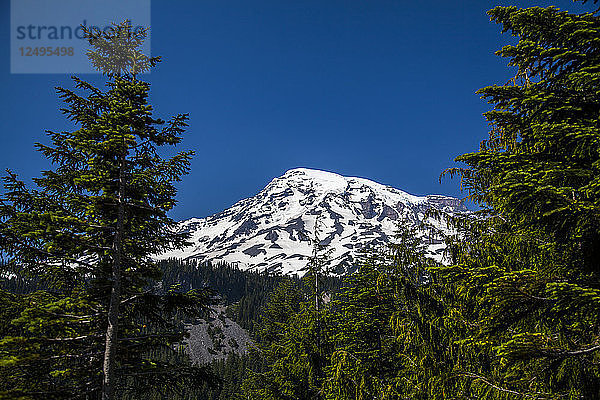 Ein Blick auf den Mount Rainier National Park  Washington  USA  an einem sonnigen Tag.