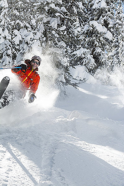 Ein Mann beim Skifahren im Deer Creek im San Juan National Forest  Silverton  Colorado