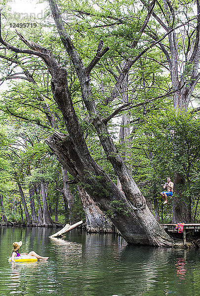 Das Blue Hole in Wimberley  Texas  ist an heißen Sommertagen ein beliebtes Ziel für Touristen und Einheimische. Das klare  kühle Wasser fließt durch Zypressen und bietet eine Zuflucht vor der texanischen Hitze.