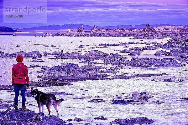 Ein Mädchen und ihr Hund blicken auf die fremde Landschaft des Mono Lake in Kalifornien.