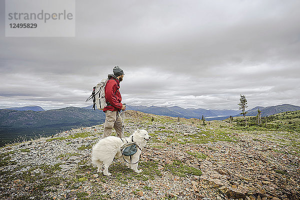 Männlicher Wanderer mit Hund Monarch Mountain British Columbia
