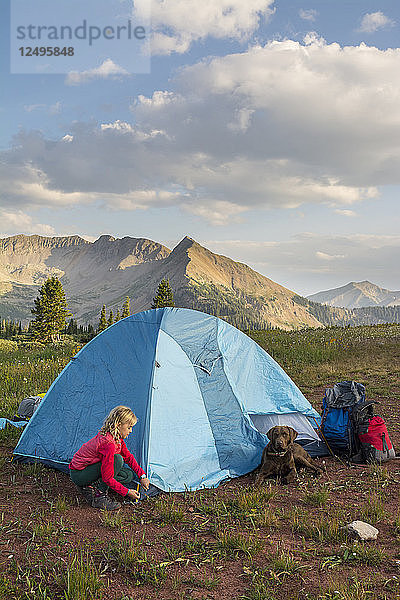 Junges Mädchen beim Aufbauen eines Zeltes am Colorado Trail in der Nähe des Trout Lake und des Kennnebac-Passes im San Juan National Forest
