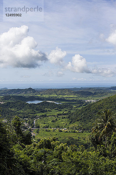 High Angle View of Greenery Landschaft mit Bucht von Wasser in Puerto Rico