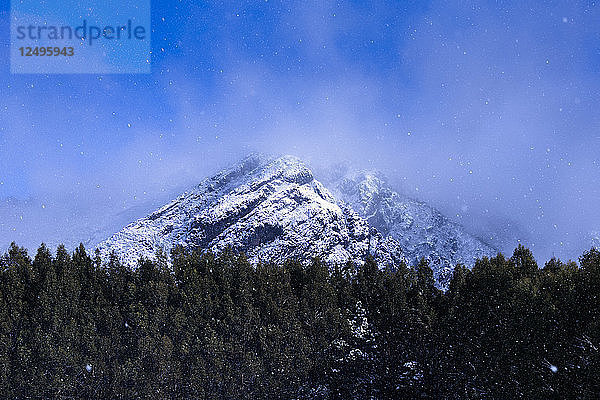 Der extrem niedrige Schneefall (auf Meereshöhe) hat im Winter 2015 Farmen und Tiere in der Nähe von Sheffield im Nordwesten Tasmaniens bedeckt. Im ganzen Bundesstaat wurde Schnee gemeldet  der sich sogar an einigen Stränden absetzte.