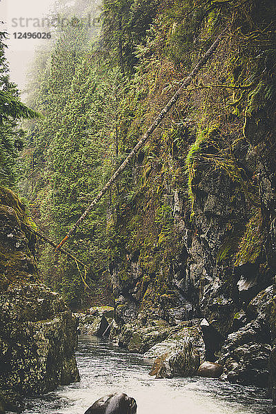 Seymour River-Schlucht  North Vancouver  BC.